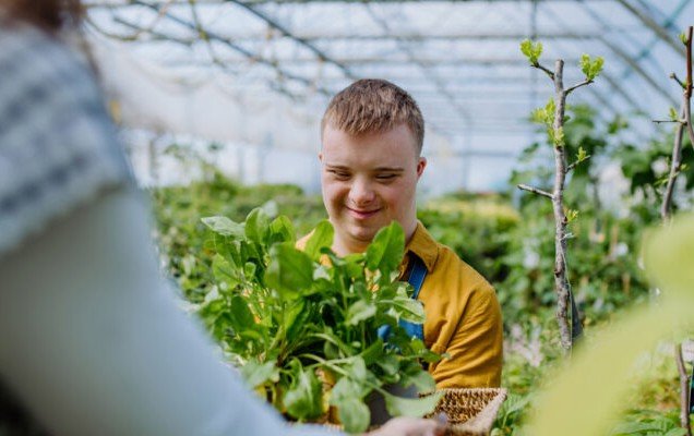 ndis-employment-support-4